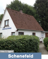 FF Schenefeld